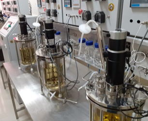 生物反应器 生物反应器