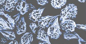 H3C-0013D